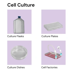 Cell culture consumables — flasks, plates, dishes, and cell factories
