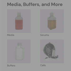 Cell culture media, sera, buffers, and cells