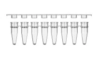 8 strip PCR tubes.webp