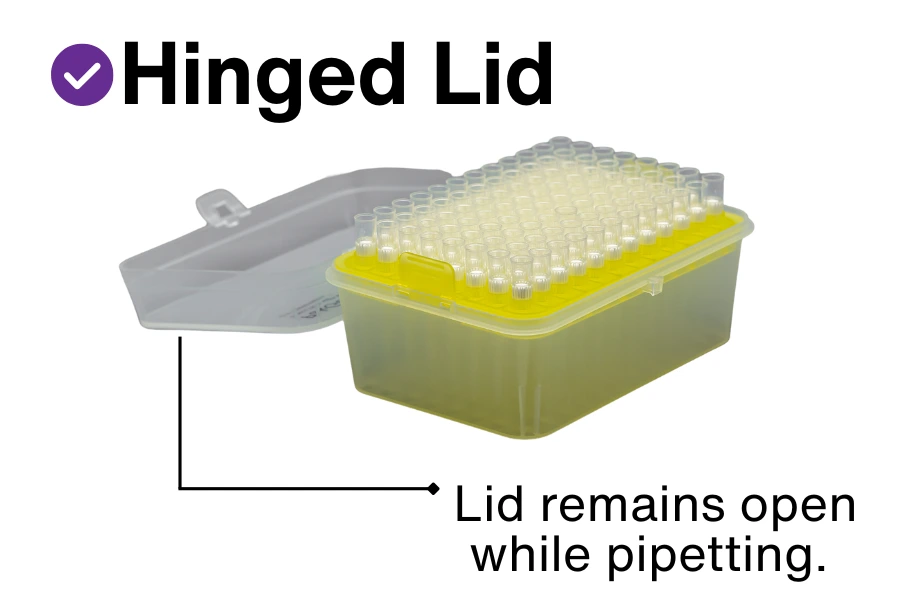 Hinged Lid.webp