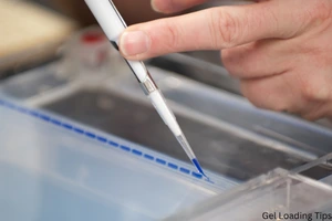 Gel Loading Pipette Tips, 1-200uL, Racked
