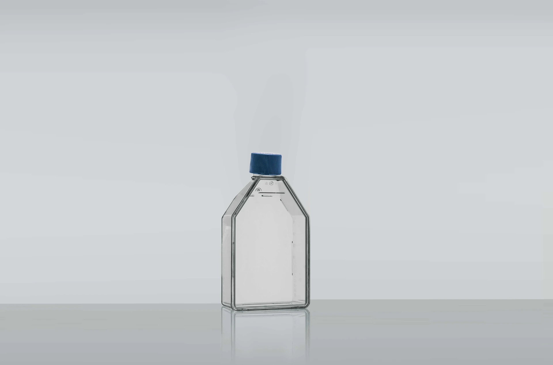 Cell Culture Flasks
