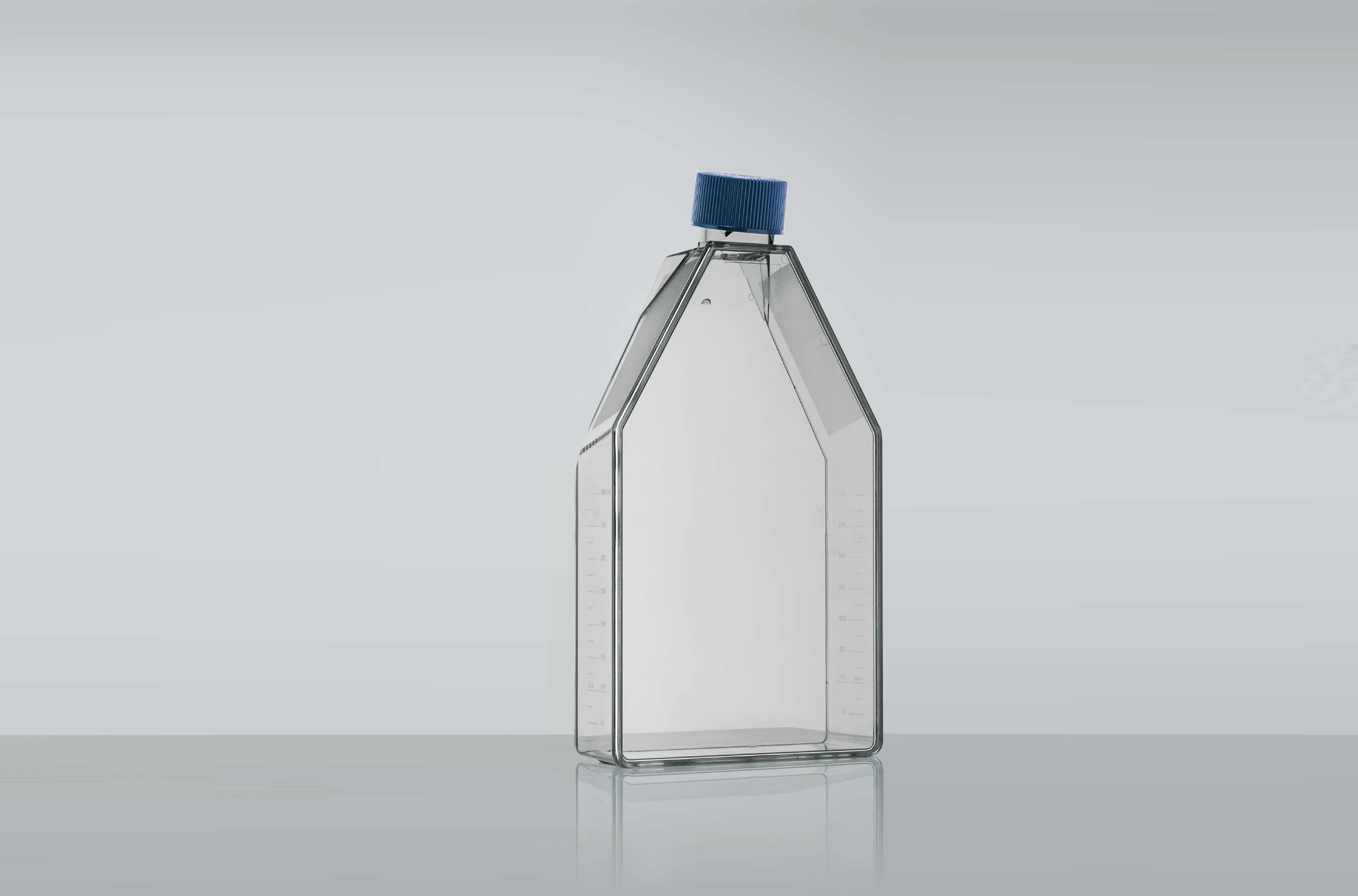 Cell Culture Flasks