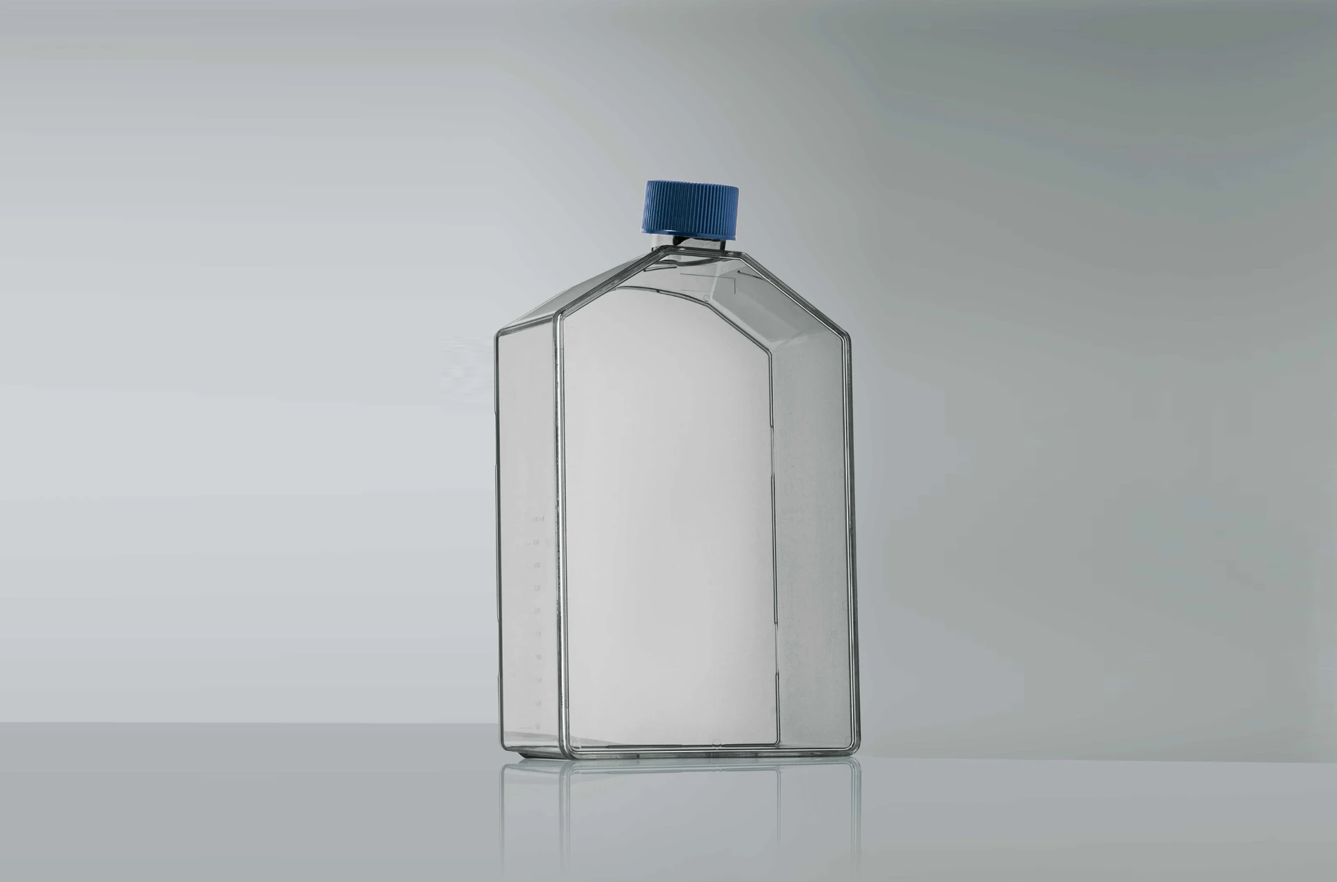 Cell Culture Flasks