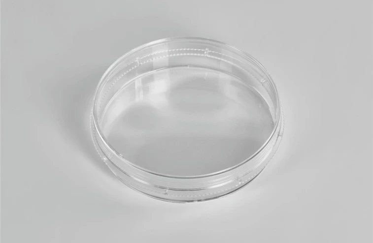 Cell Culture Dish