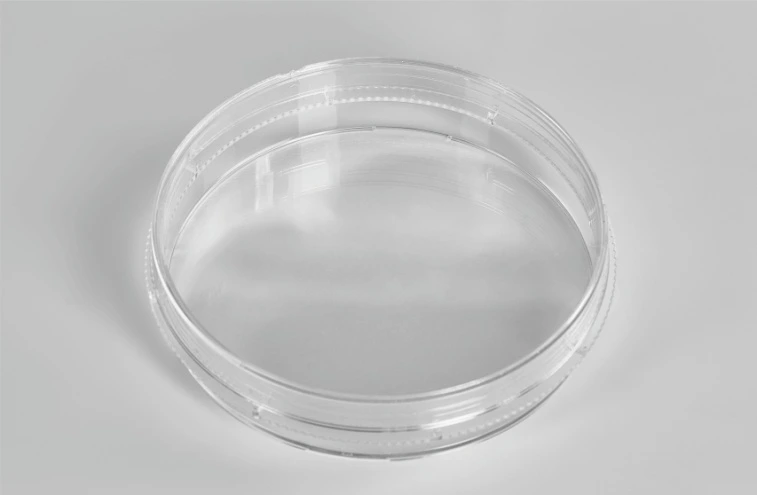 Cell Culture Dish