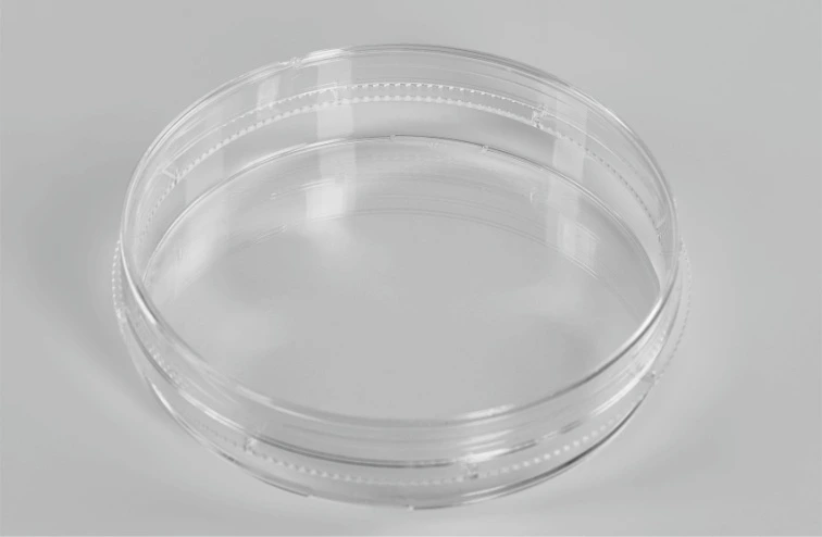 Cell Culture Dish