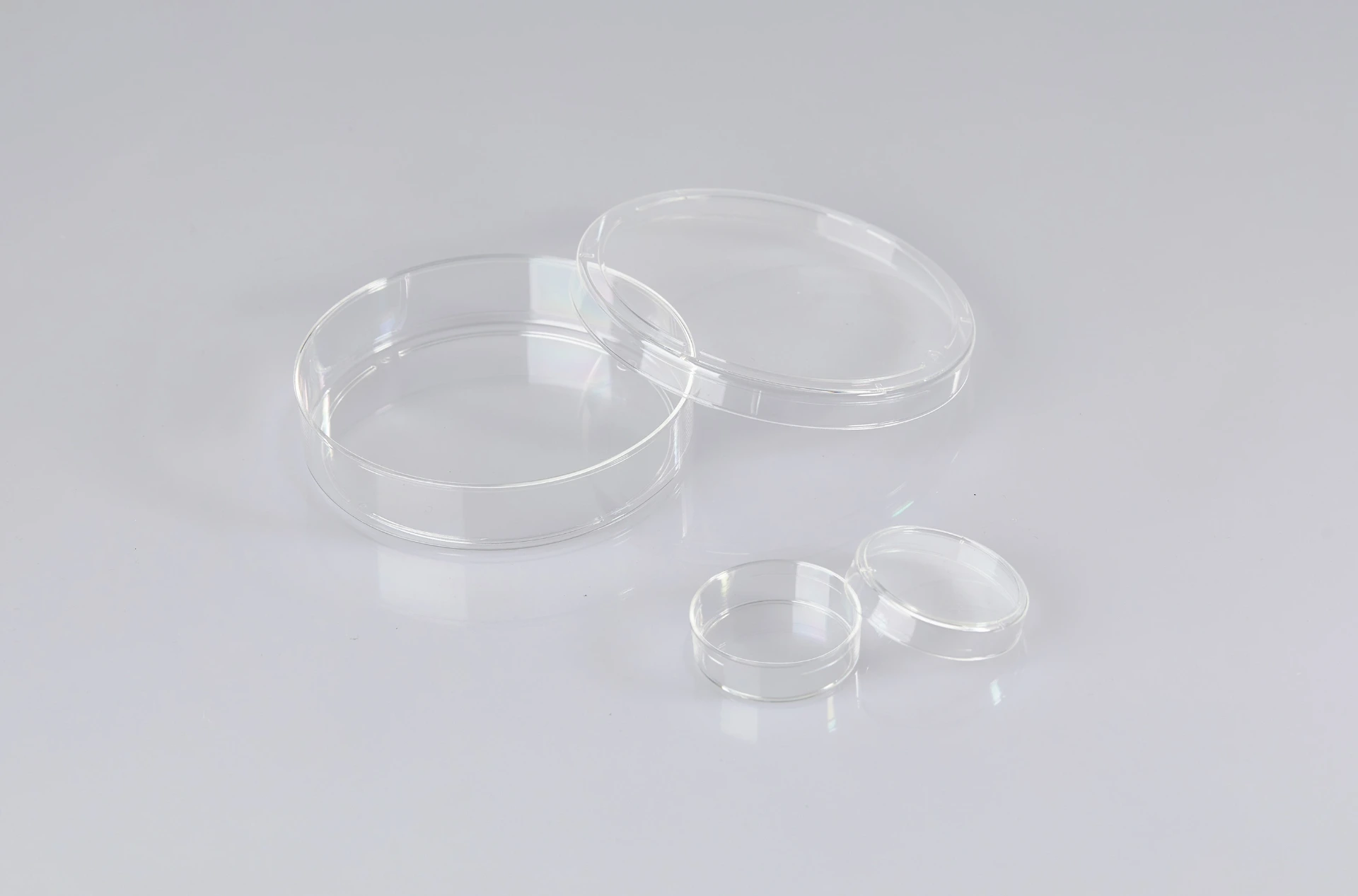 Petri Dishes