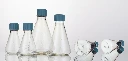Erlenmeyer Flasks